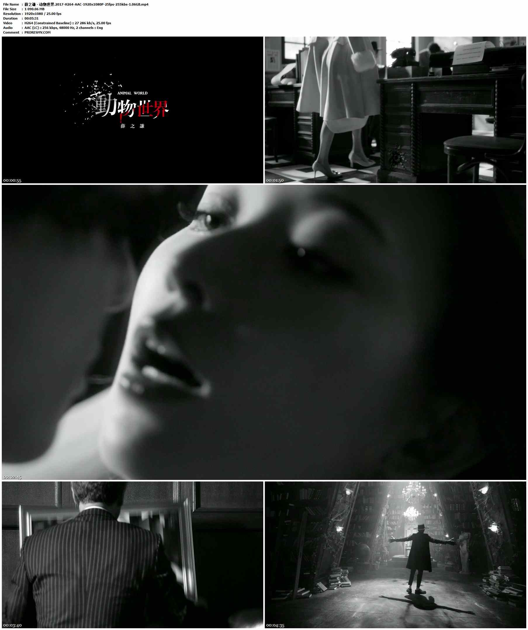 薛之谦 - 动物世界.2017-H264-AAC-1920x1080P-25fps-255kbs-1.06GB官方MV_高清MV